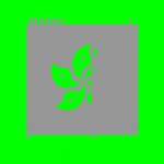 (Can’t) Picture This: An Analysis of Image Filtering on WeChat Moments 30