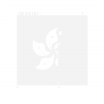 (Can’t) Picture This: An Analysis of Image Filtering on WeChat Moments 90